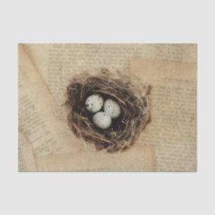 Bird Nest Old Vintage Antique Retro Brown Eggs Tissue Paper