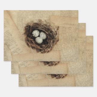 Bird Nest Old Vintage Antique Retro Brown Eggs Wrapping Paper Sheet