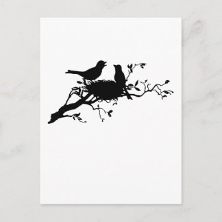 Bird Nest Postcard