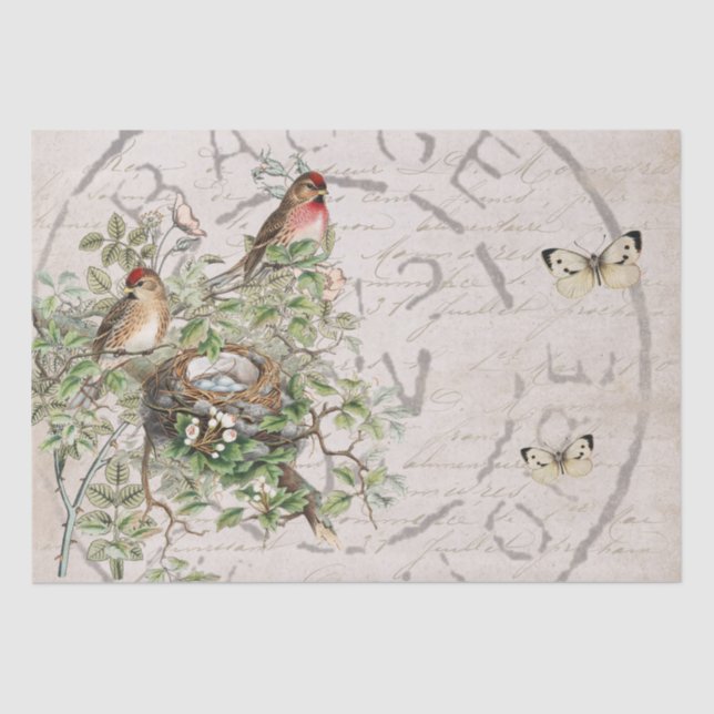 Bird Nest Postmark Butterfly French Script Brown Tissue Paper (Front)