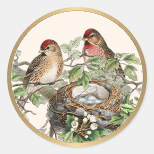 Bird Nest Redpoll Spring Nature Vintage Gold Frame Classic Round Sticker