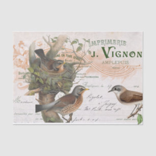 Bird Nest Tree Vintage French Script Decoupage  Tissue Paper