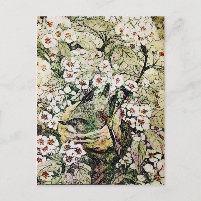 BIRD NEST,TREE WITH BROWN WHITE SPRING FLOWERS ANNOUNCEMENT POSTCARD (Front)