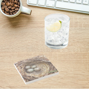 Bird Nest With Speckled Blue Eggs Photo Stone Coaster