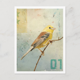 Bird No.4 Postcard