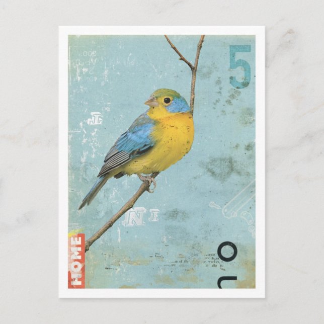Bird No.5 Postcard (Front)