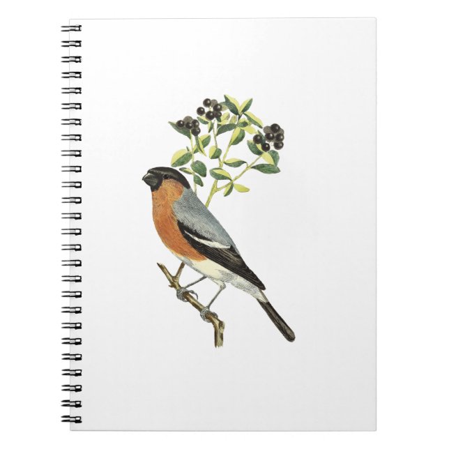 Bird Notebook (Front)