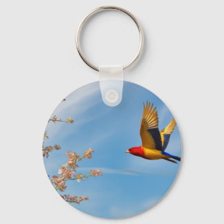 Bird of colours in nature's lap key ring