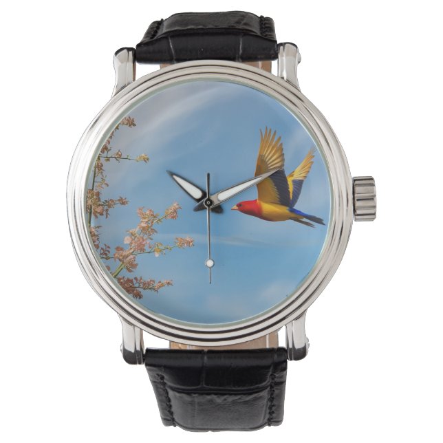 Bird of colours in nature's lap watch (Front)