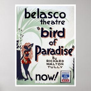 Bird OF Paradise 1939 WPA Poster