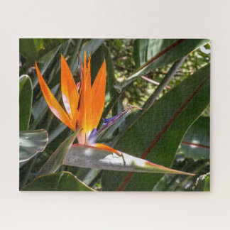 Bird of Paradise #1  Jigsaw Puzzle