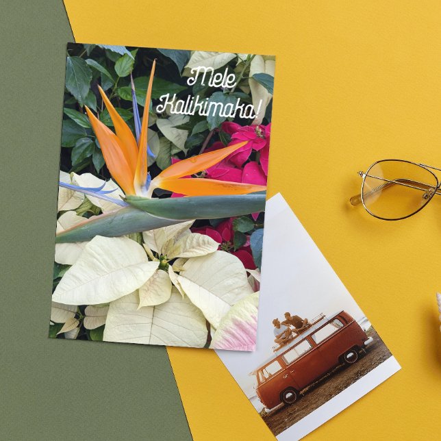 Bird of Paradise and Poinsettias Hawaiian Floral Holiday Card (In Situ)