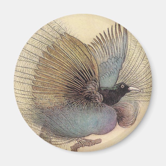 Bird of Paradise Art Magnet (Front)