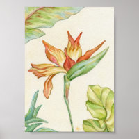 Bird of Paradise Art Print 5x7
