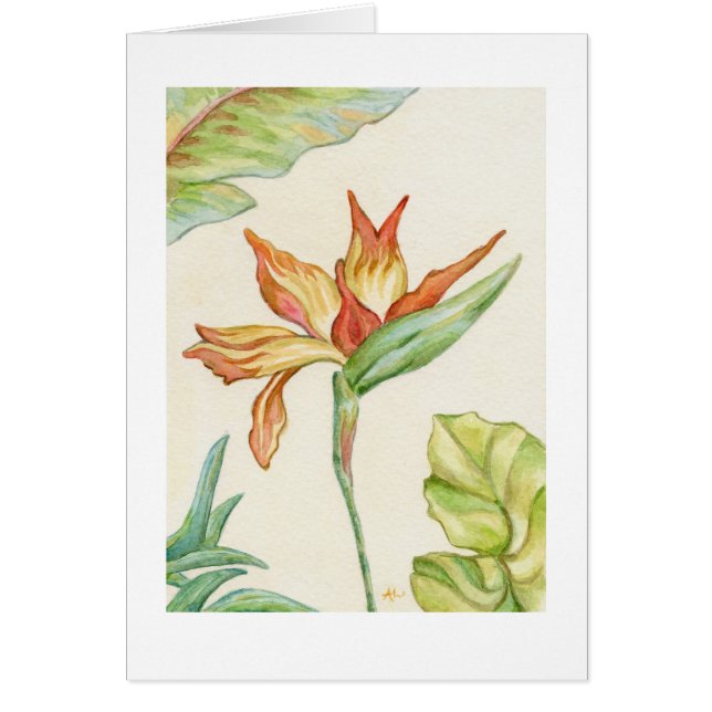 Bird of Paradise Blank Card (Front)