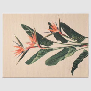 Bird of Paradise Botanical Art Decoupage Tissue Paper