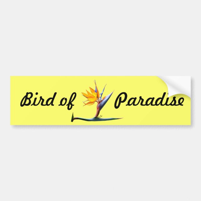 Bird of Paradise Bumper Sticker (Front)
