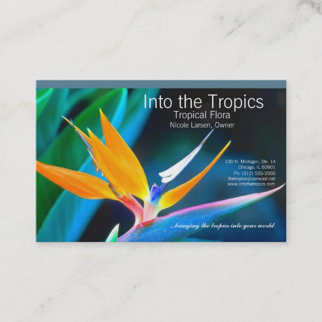 bird-of-paradise business card (Front)