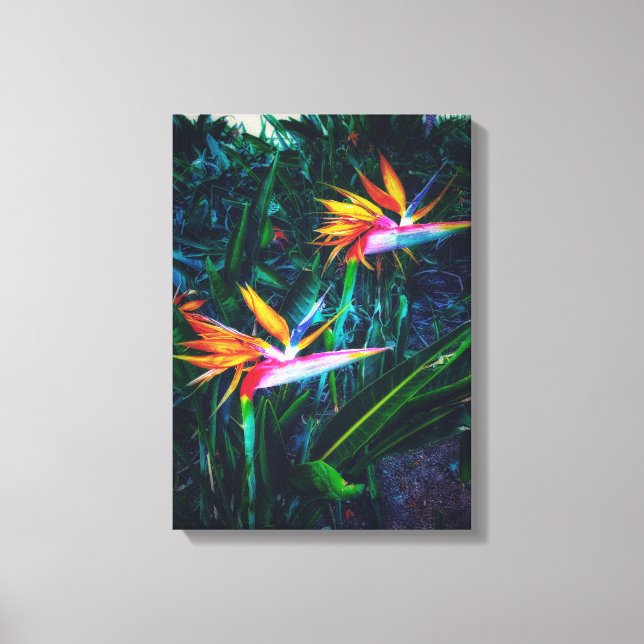Bird of paradise canvas print (Front)