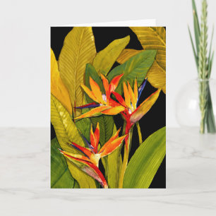 Bird of Paradise Card