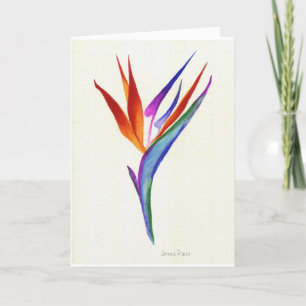 Bird of Paradise Card
