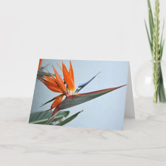 Bird of Paradise Card