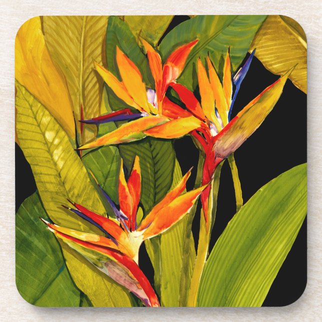 Bird of Paradise Coaster (Front)