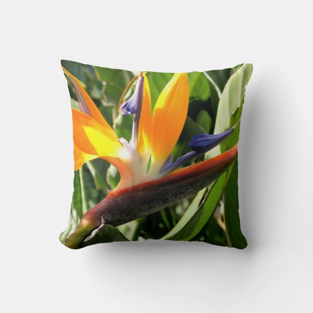 Bird of Paradise Cushion (Front)