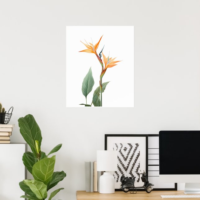 Bird of paradise drawing (flower) poster (Home Office)