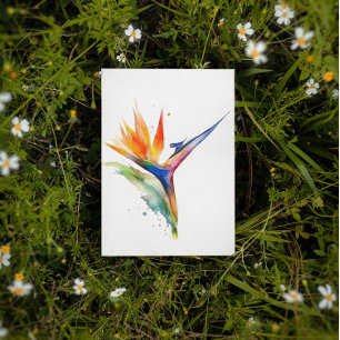 Bird of paradise exotic flower bright watercolor postcard
