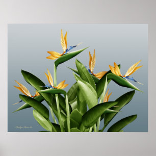 Bird-of-Paradise Fantasy Plant Poster