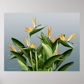 Bird-of-Paradise Fantasy Plant Poster