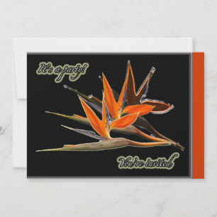 Bird of Paradise Floral Party Invitation