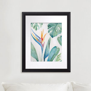 Bird of Paradise Florida Watercolors Poster