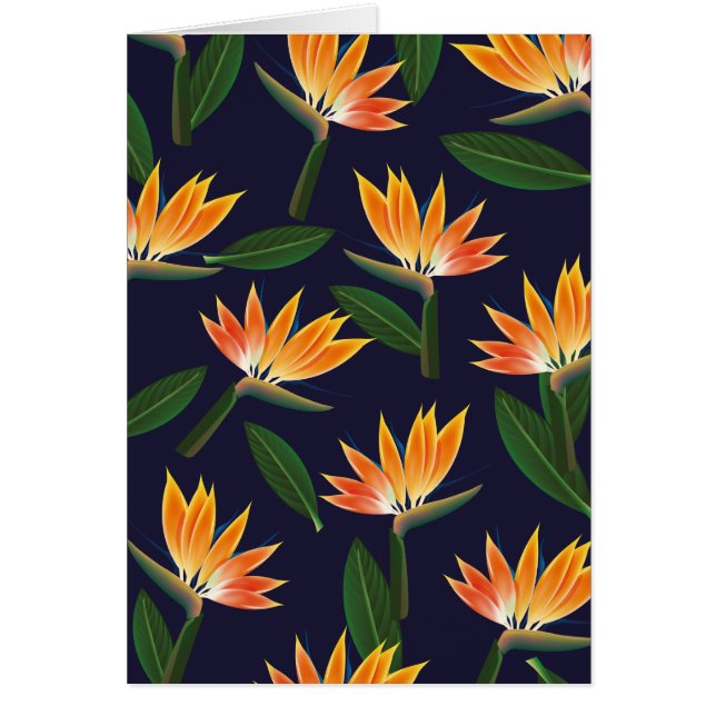 Bird of paradise flower (Front)