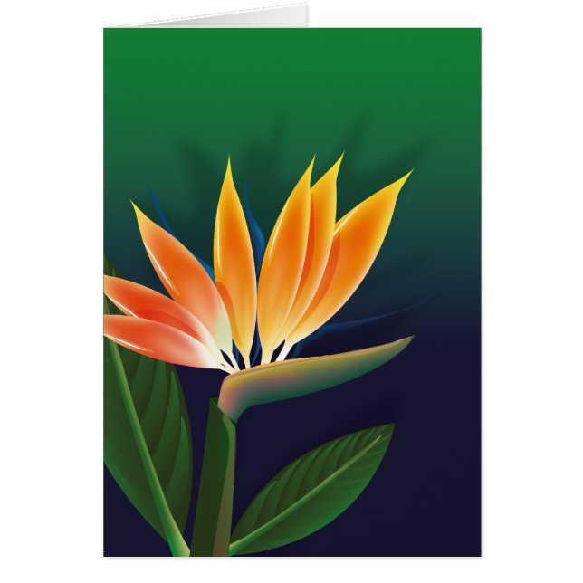 Bird of paradise flower (Front)