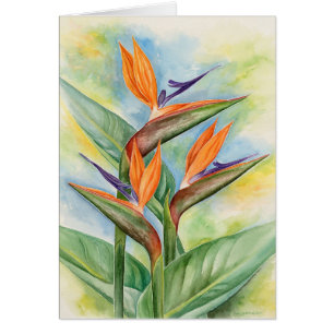 Bird Of Paradise Flower Art - Multi
