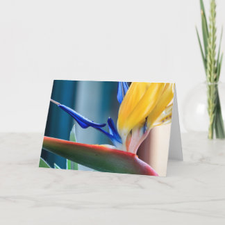 Bird of Paradise Flower Holiday Card