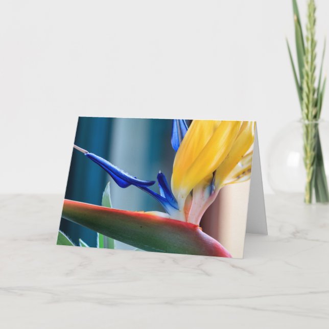 Bird of Paradise Flower Holiday Card (Front)