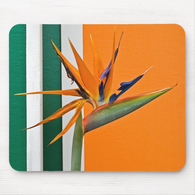 Bird Of Paradise Flower Mouse Mat (Front)