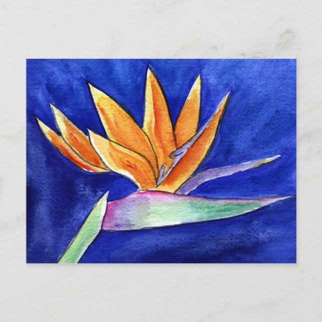 Bird-of-Paradise Flower Painting Art Postcard (Front)