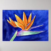 Bird of Paradise Flower Painting Art Poster Prints