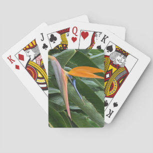 Bird of Paradise Flower Playing Cards
