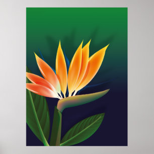 Bird of paradise flower poster