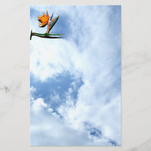 Bird of Paradise Flower Stationery