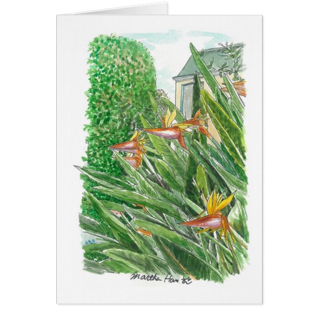 Bird of Paradise Flowers (Front)