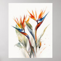 Bird Of Paradise Flowers Art Print Poster