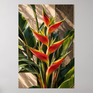Bird of Paradise Flowers in Golden Light Wall Art
