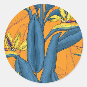 Bird of paradise flowers on orange classic round sticker