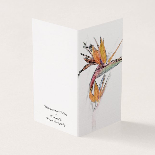 Bird Of Paradise Folded Card (Outside)